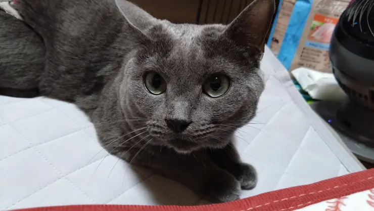 アイキャッチ