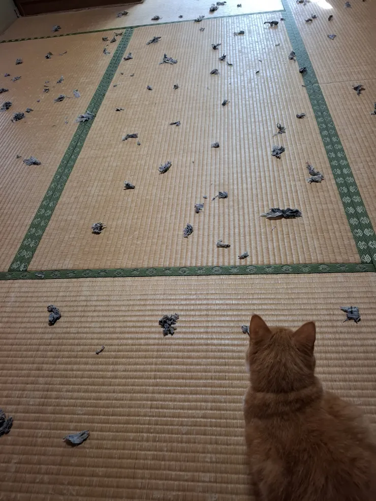 アイキャッチ