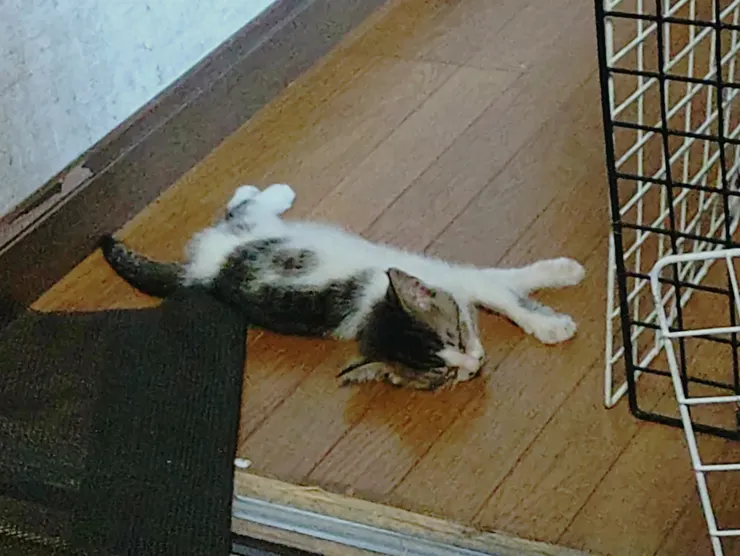 アイキャッチ