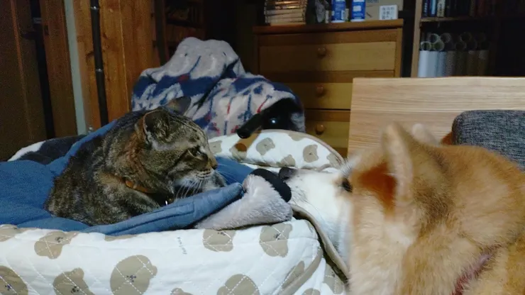 アイキャッチ