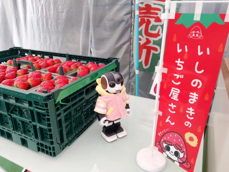 アイキャッチ