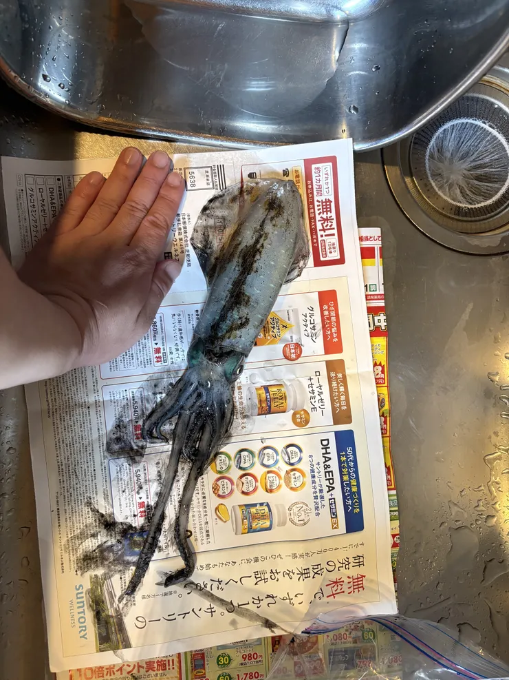 アイキャッチ