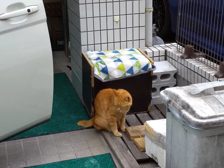 アイキャッチ