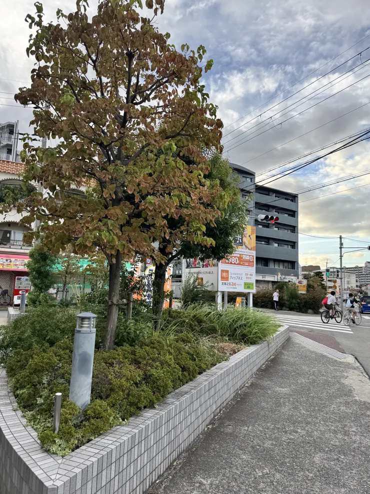 アイキャッチ