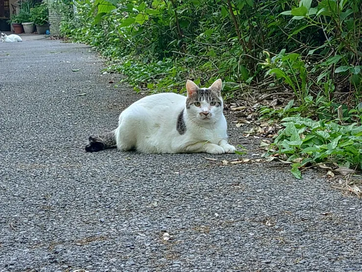 アイキャッチ