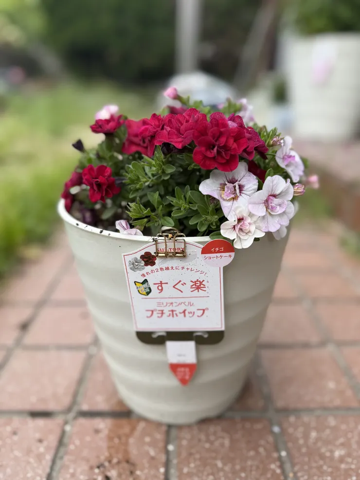 アイキャッチ