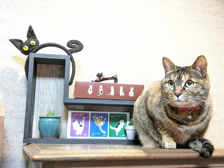 アイキャッチ