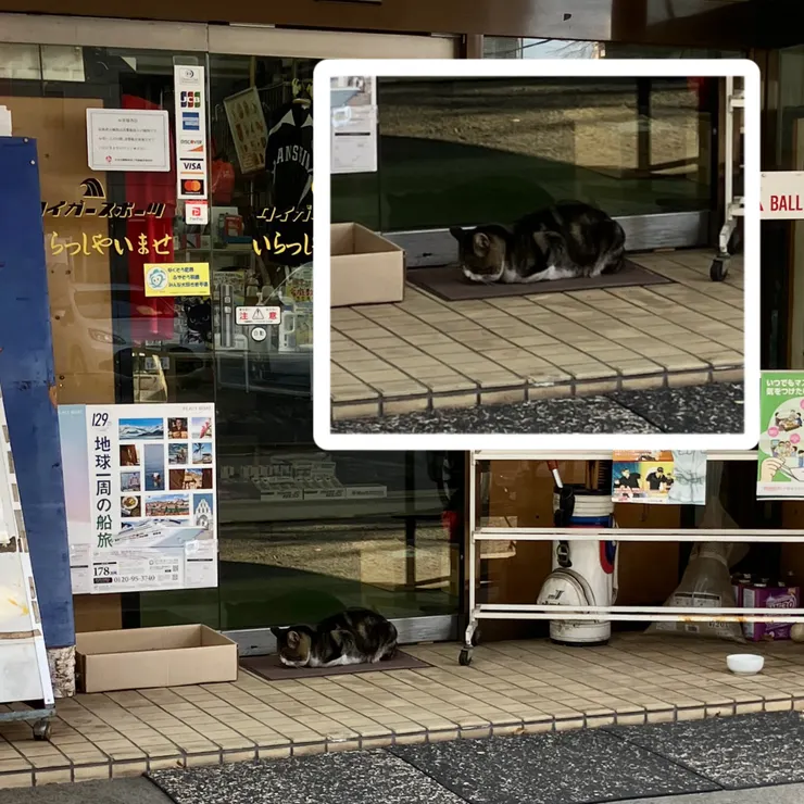アイキャッチ