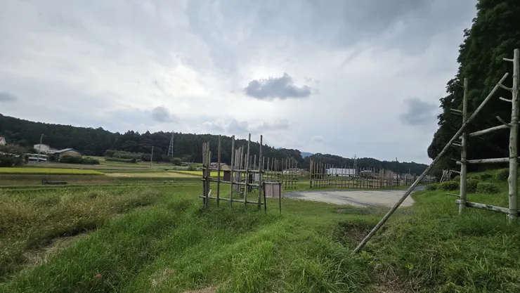 アイキャッチ