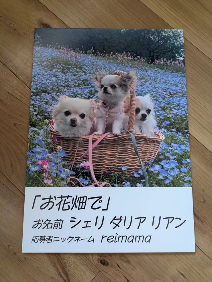 アイキャッチ