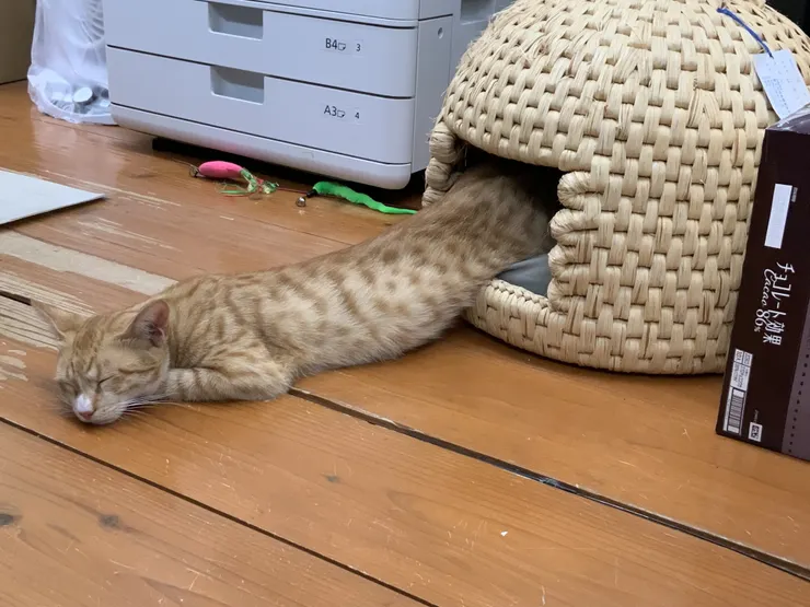 アイキャッチ