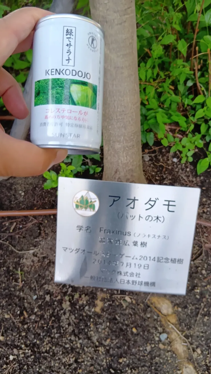 アイキャッチ