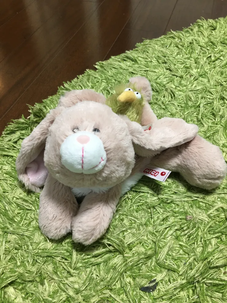 アイキャッチ