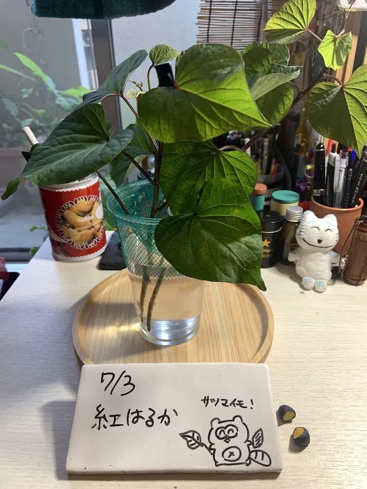 アイキャッチ