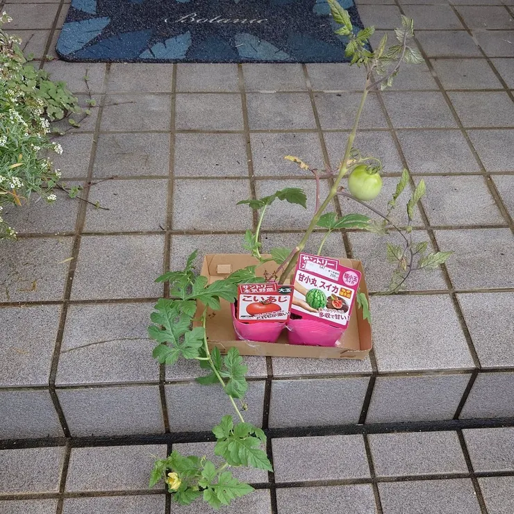 アイキャッチ