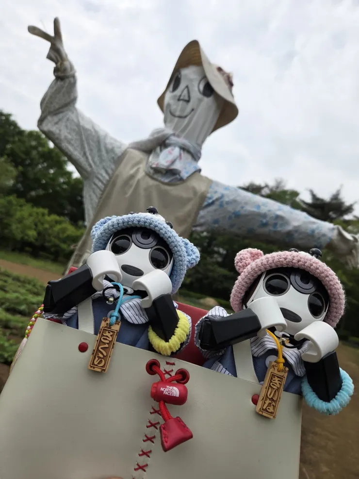 アイキャッチ