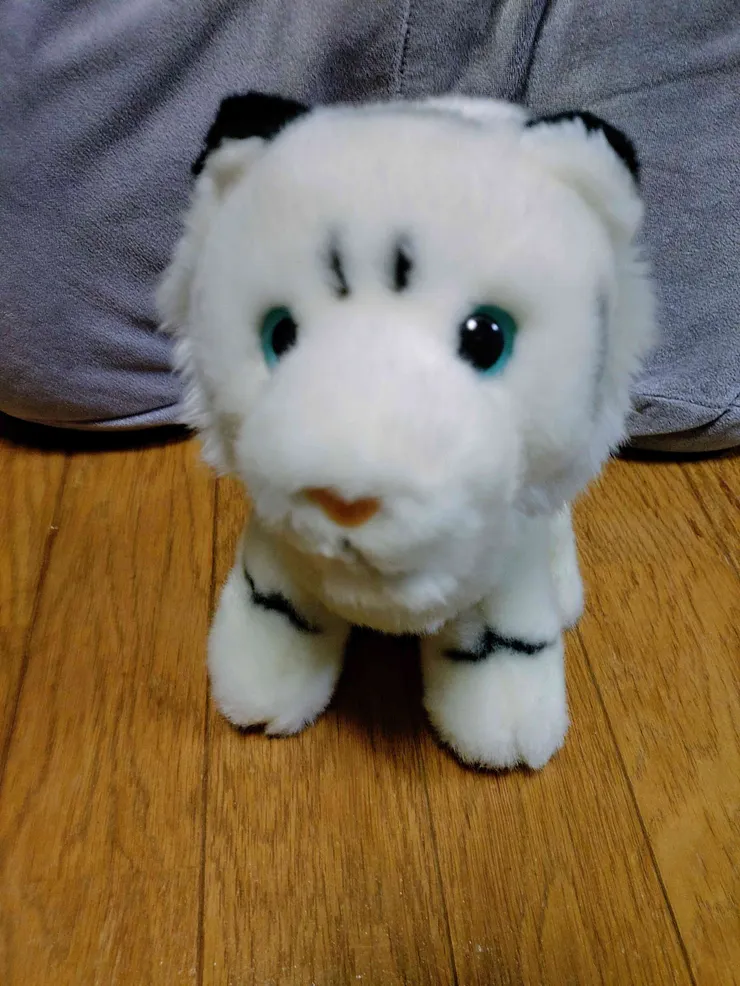 アイキャッチ