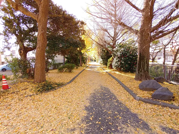 アイキャッチ
