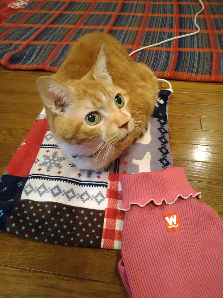 アイキャッチ