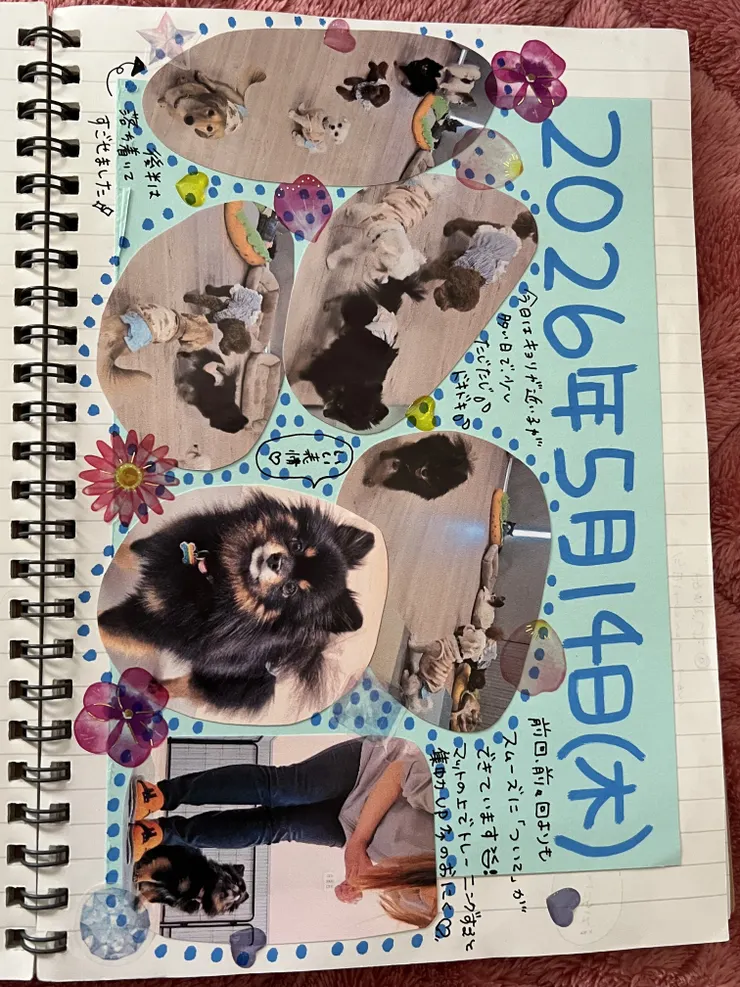 アイキャッチ