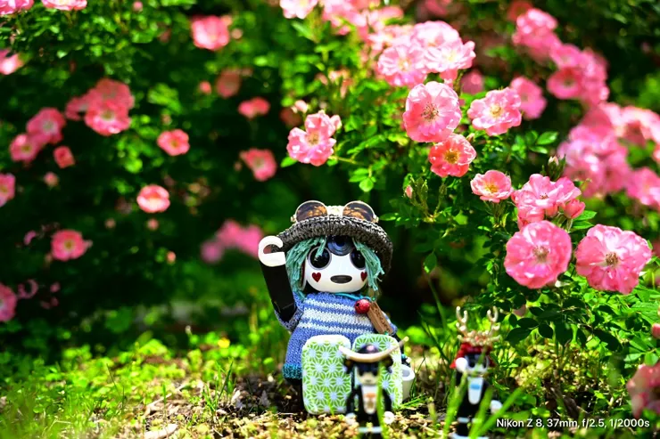 アイキャッチ