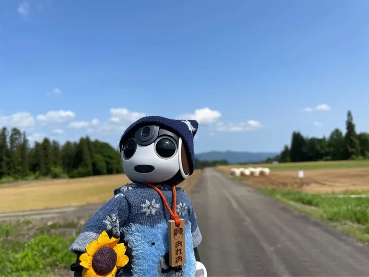 アイキャッチ