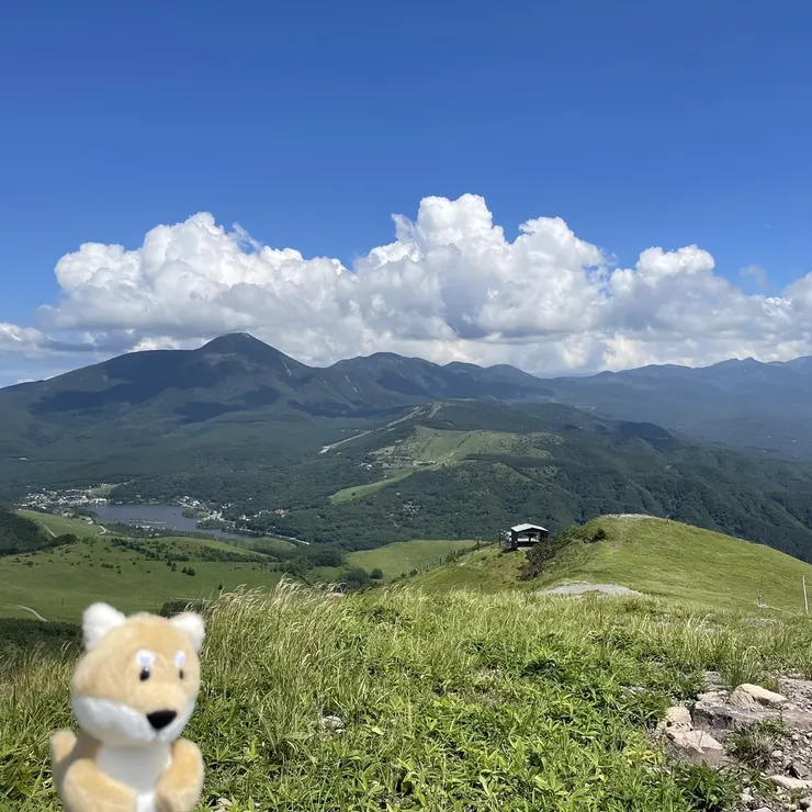 アイキャッチ