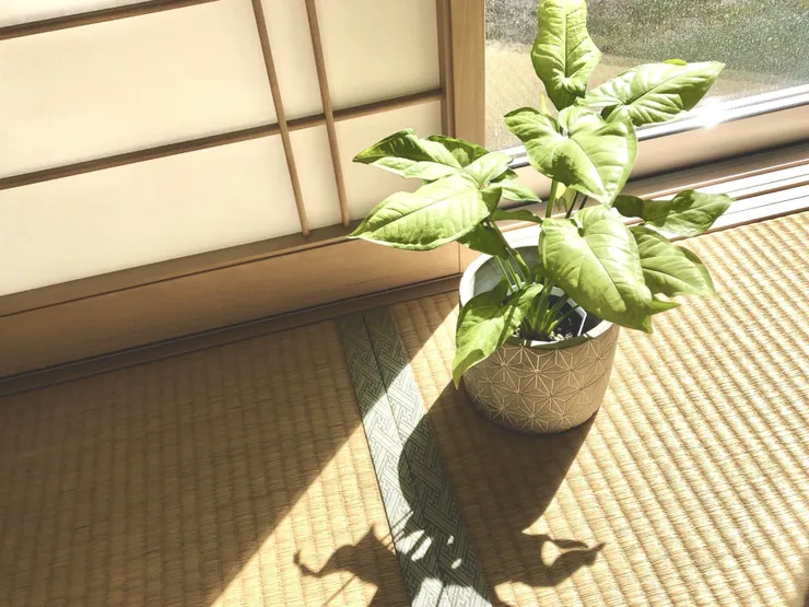 アイキャッチ