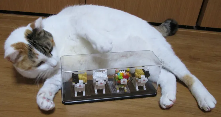 アイキャッチ