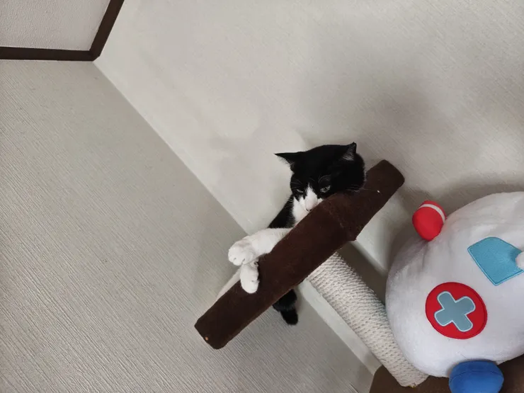 アイキャッチ