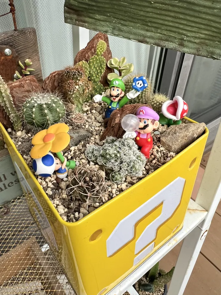 アイキャッチ