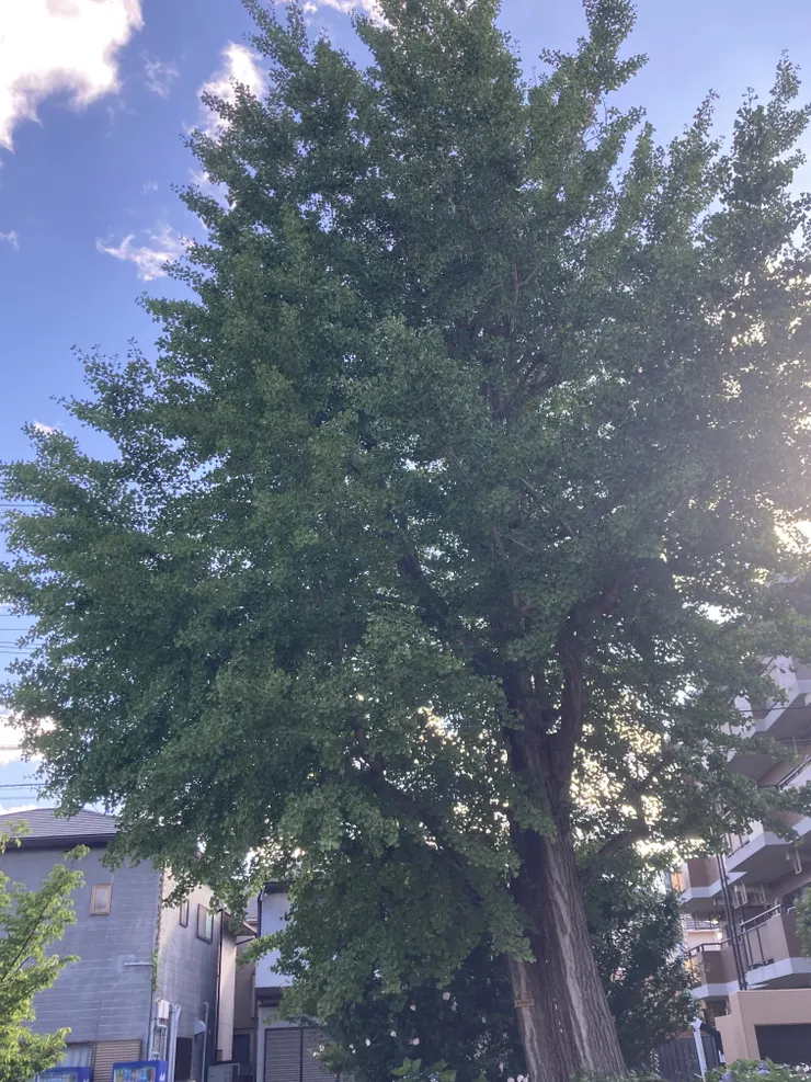 アイキャッチ