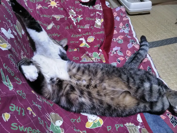 アイキャッチ