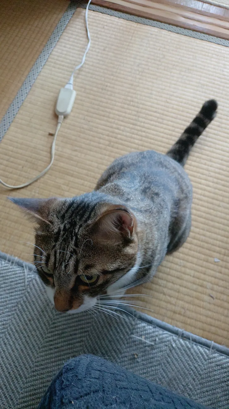 アイキャッチ