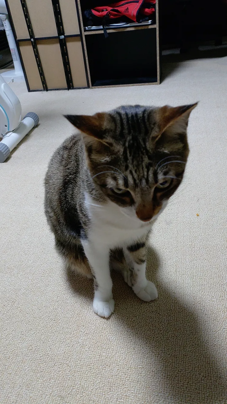 アイキャッチ