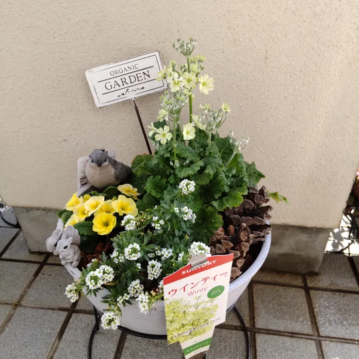 アイキャッチ