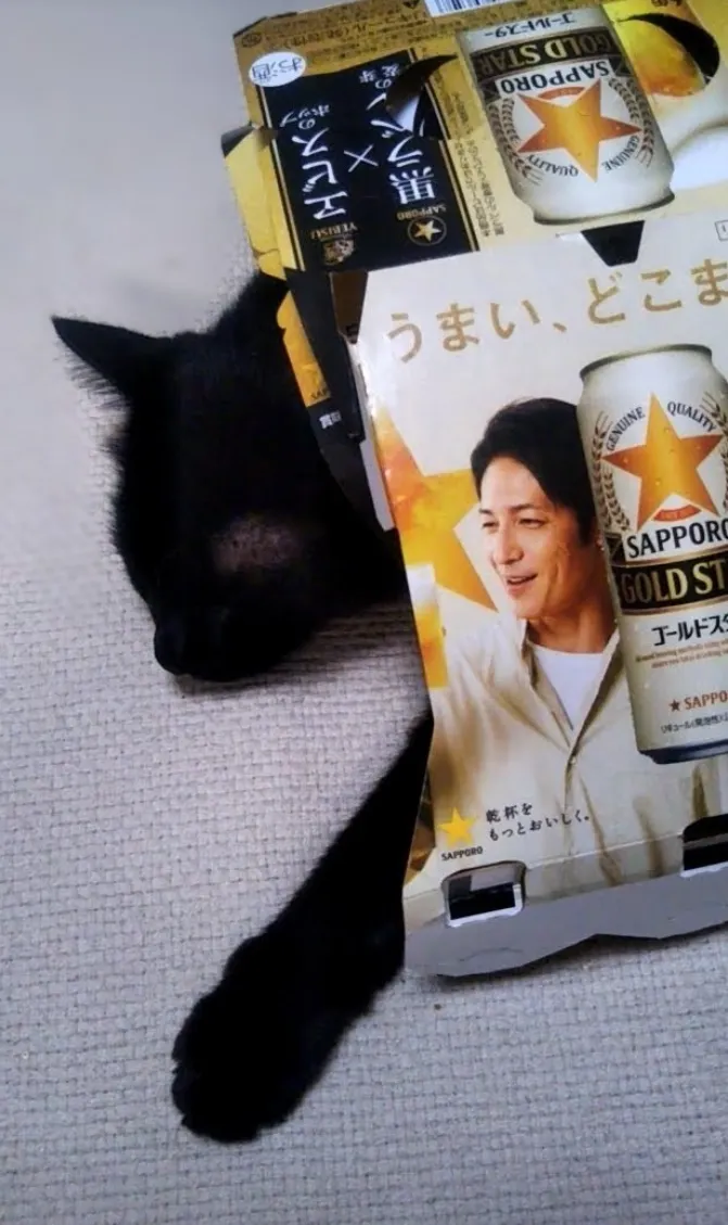 アイキャッチ