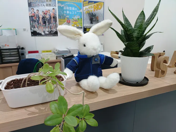 アイキャッチ
