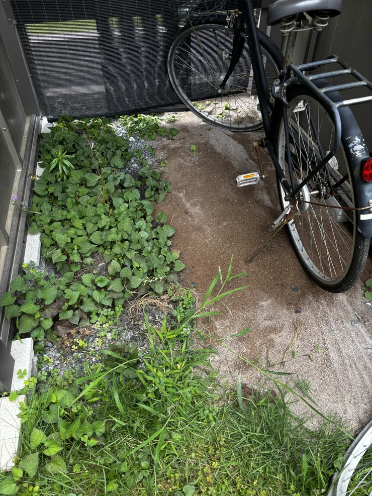 アイキャッチ