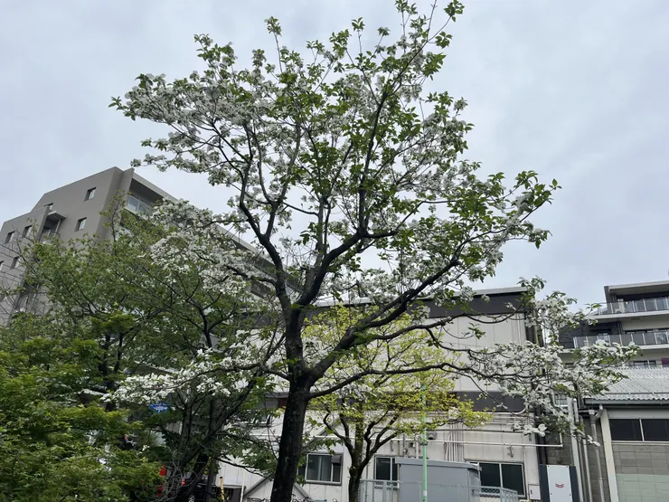 アイキャッチ