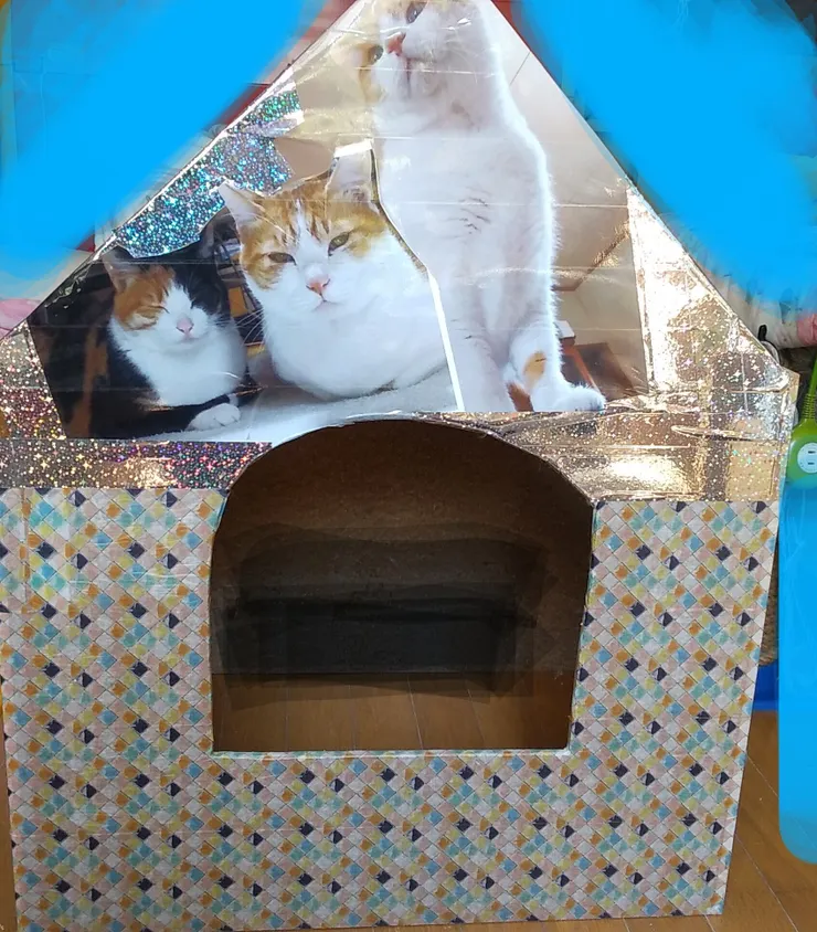 アイキャッチ