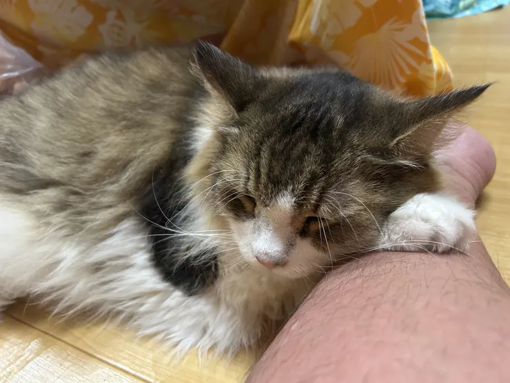 アイキャッチ