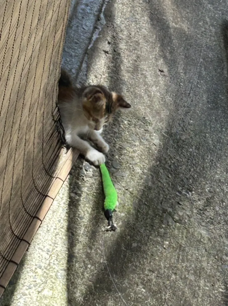アイキャッチ