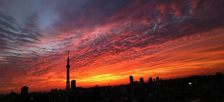 アイキャッチ