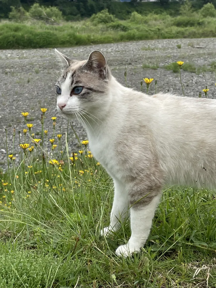 アイキャッチ