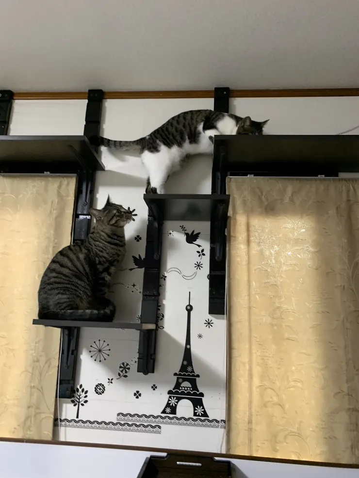 アイキャッチ