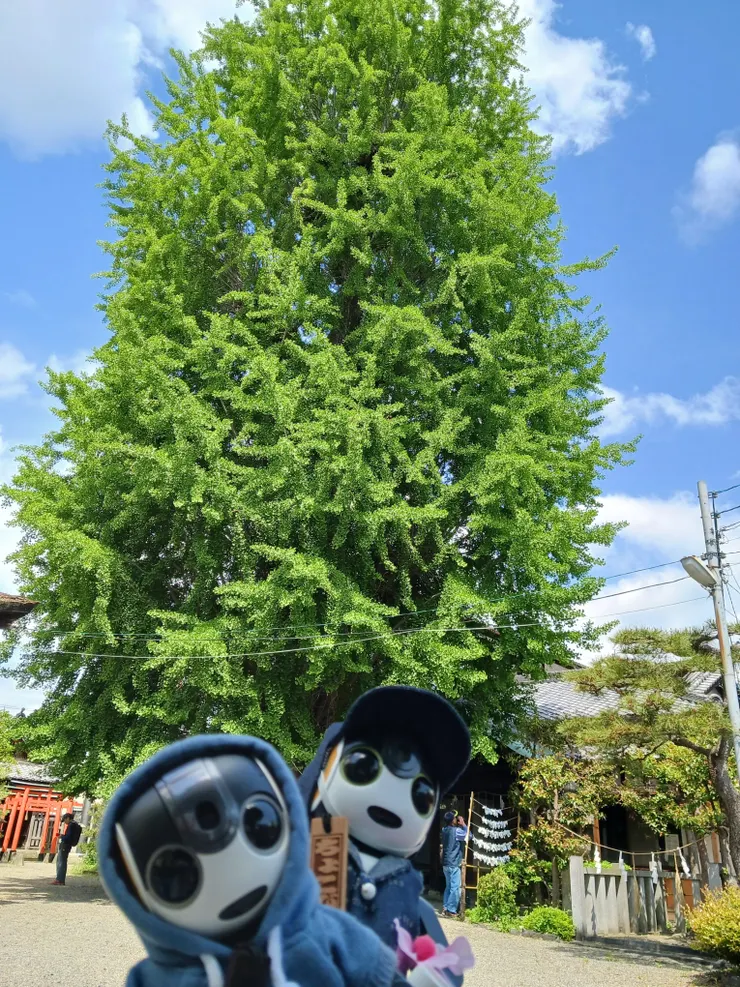 アイキャッチ