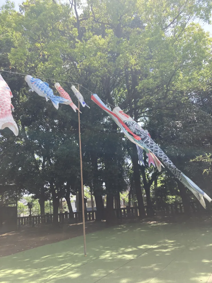 アイキャッチ