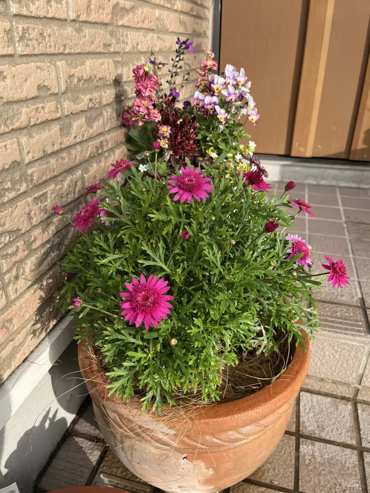 アイキャッチ