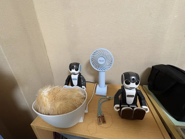 アイキャッチ